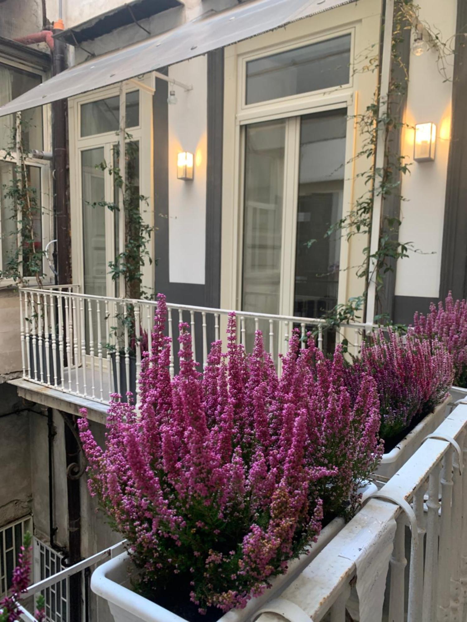 Appartement Casa Orlanda