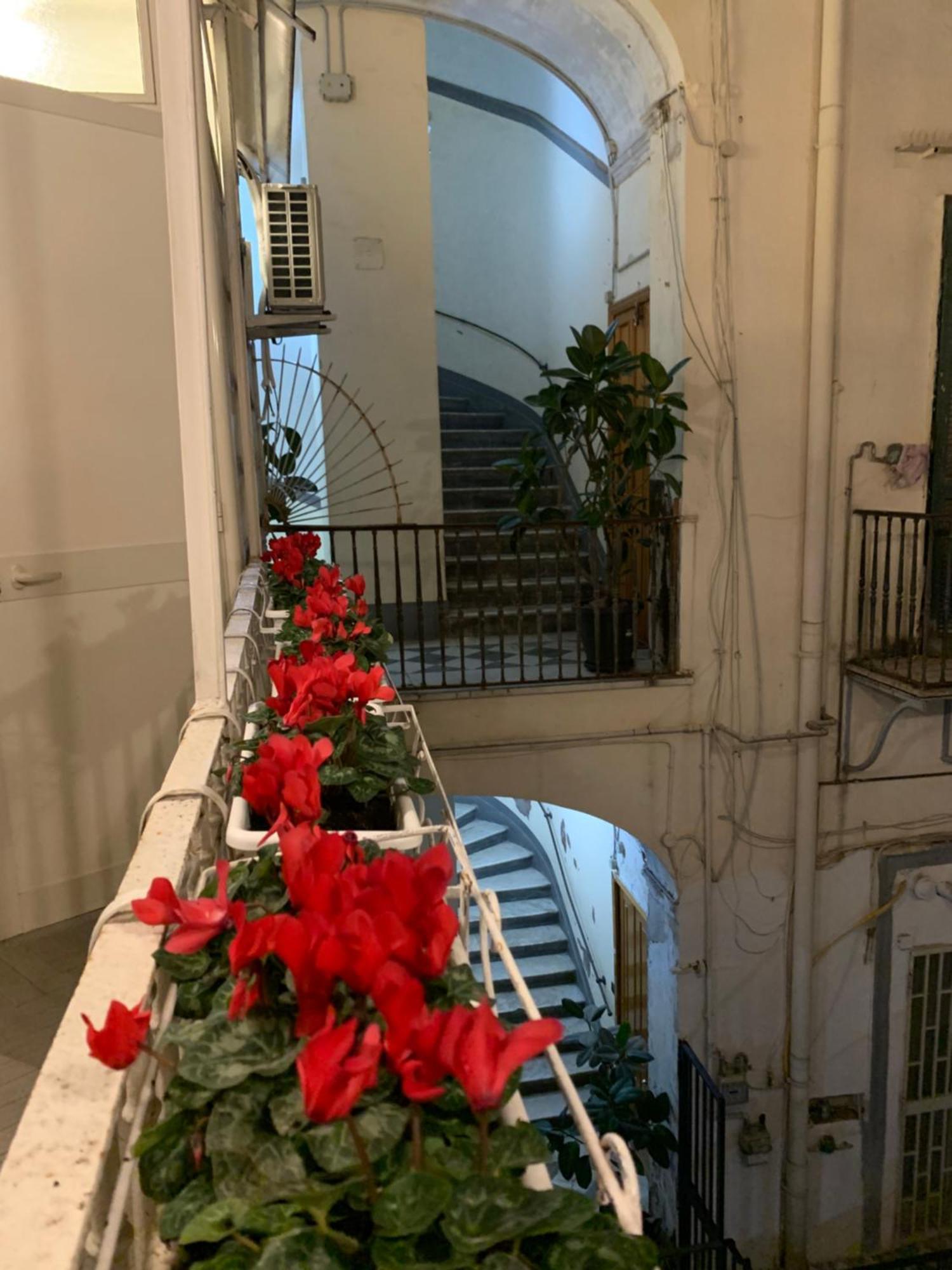 Appartement Casa Orlanda *